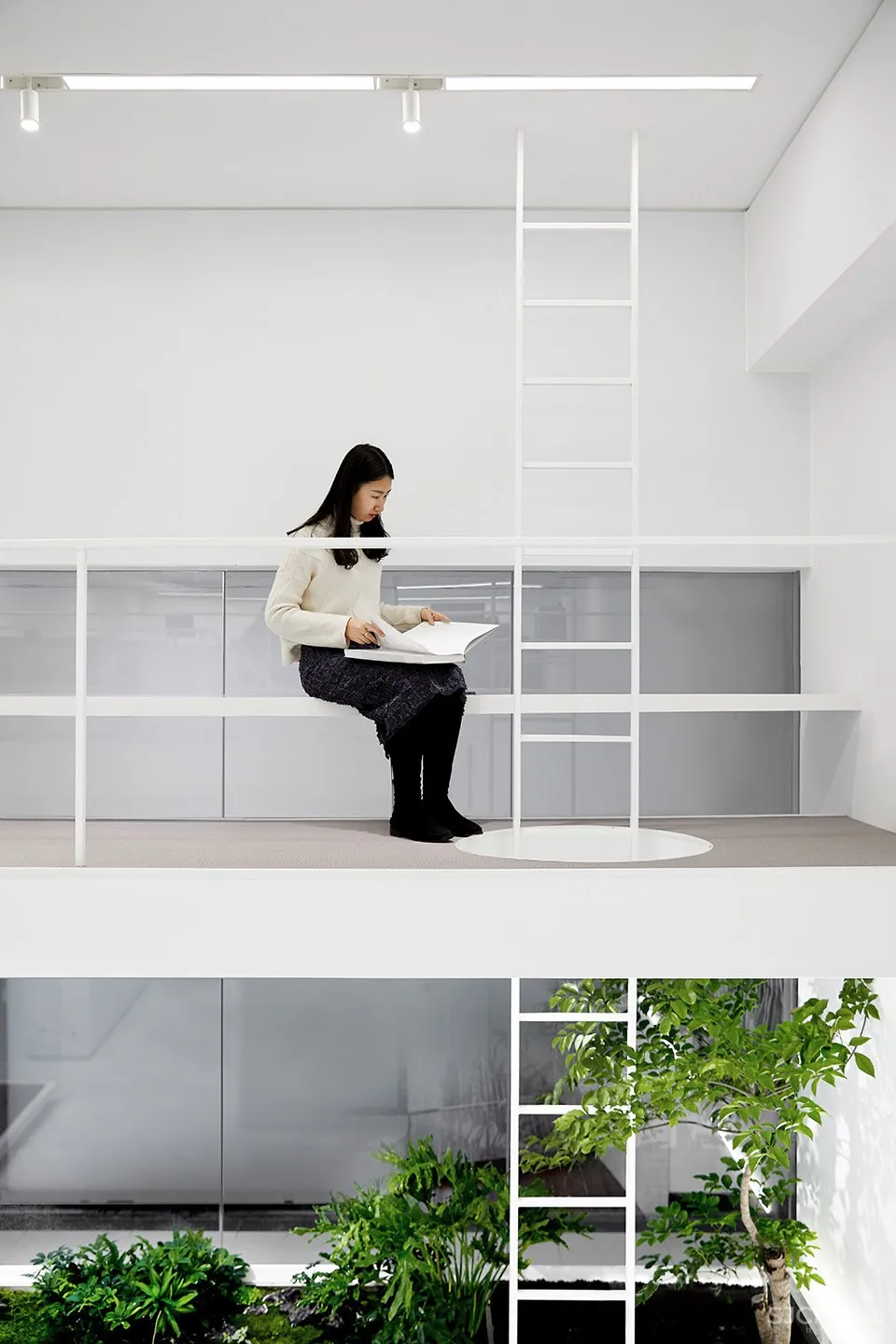 每个人的花园 – 生态办公室改造，上海 /目心设计研究室