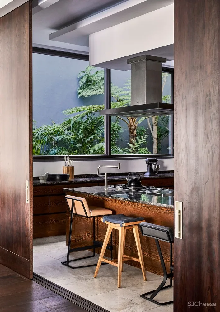 ARRCC:开普敦艺术收藏郊区别墅 Hillside View