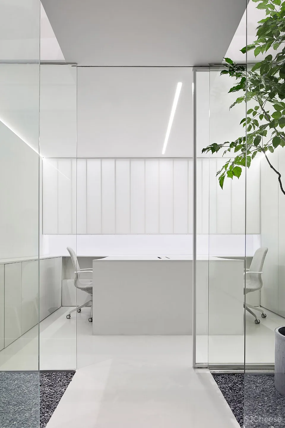 每个人的花园 – 生态办公室改造，上海 /目心设计研究室