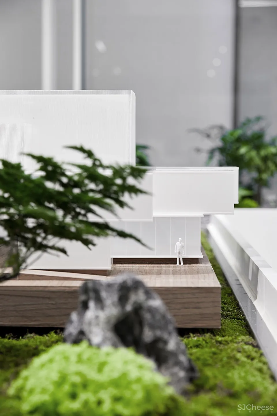 每个人的花园 – 生态办公室改造，上海 /目心设计研究室