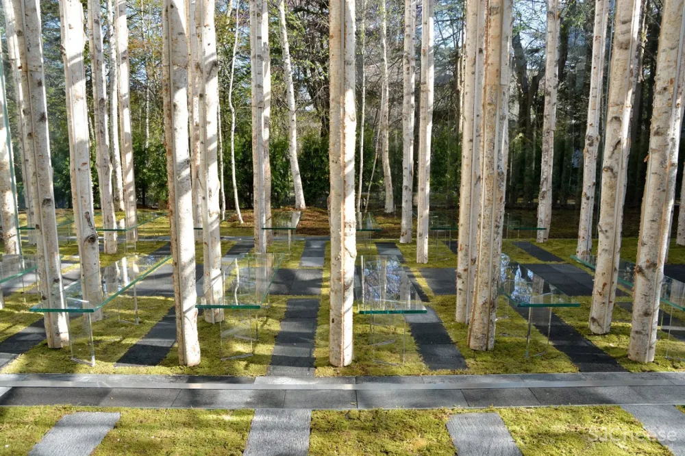 桦树苔藓教堂，日本 / 隈研吾建筑都市设计事务所