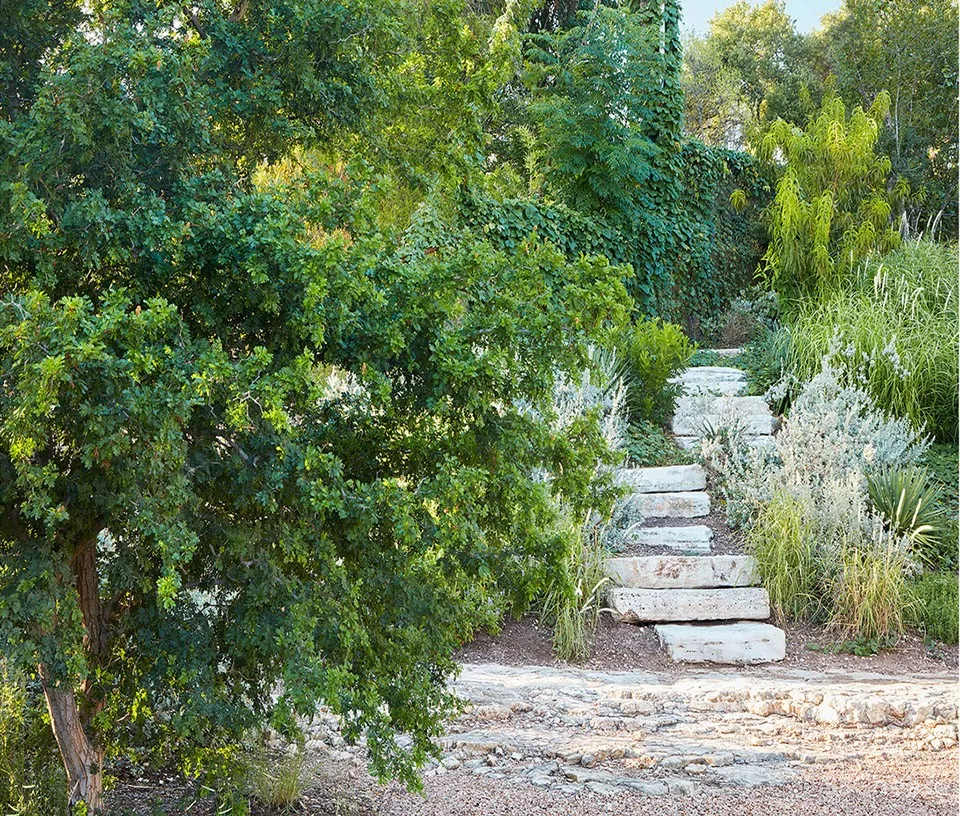 2018 ASLA住宅设计类杰出奖: Balcones住宅,美国奥斯汀 / Word + Carr Design Group