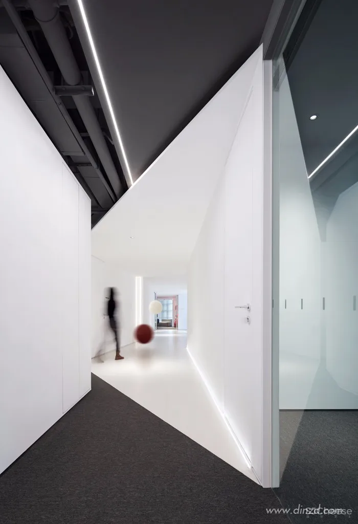 一纪轮回 | 共生的旧邻新巢