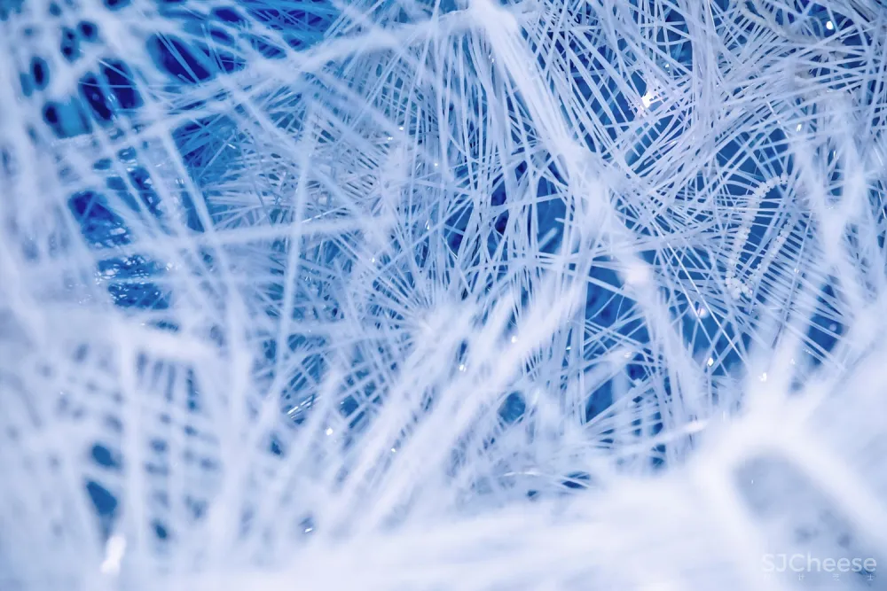 最新 | 积粟社:赶集 – 镜像·2018年广州设计周的积粟社