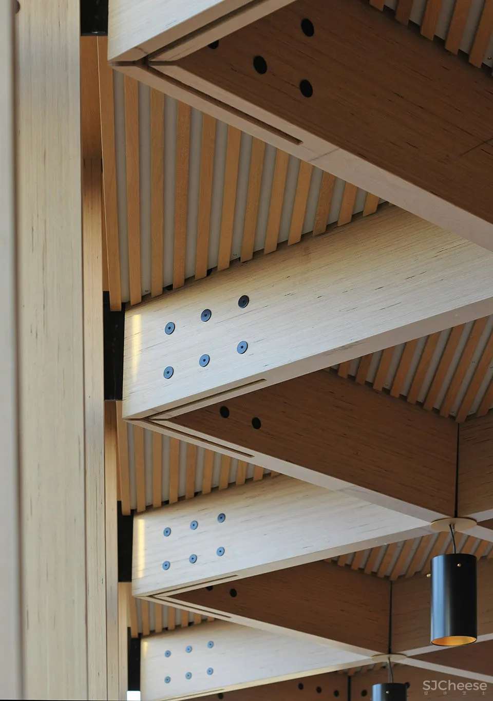 佩斯学校Peter Hall表演艺术中心,英国剑桥 / Haworth Tompkins