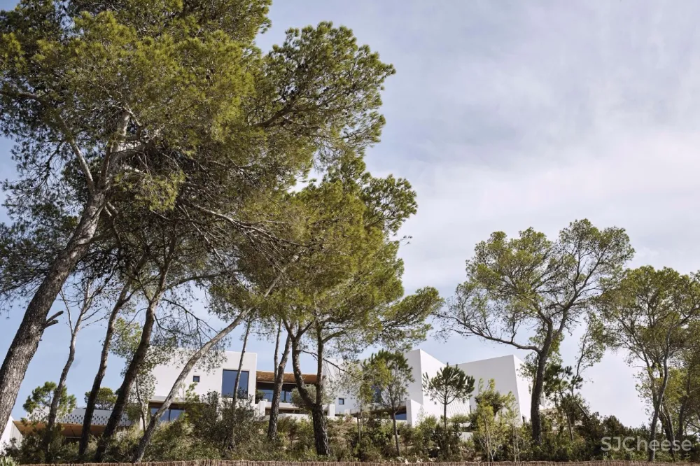 Patricia Urquiola新作 | 叙述着关于设计的故事