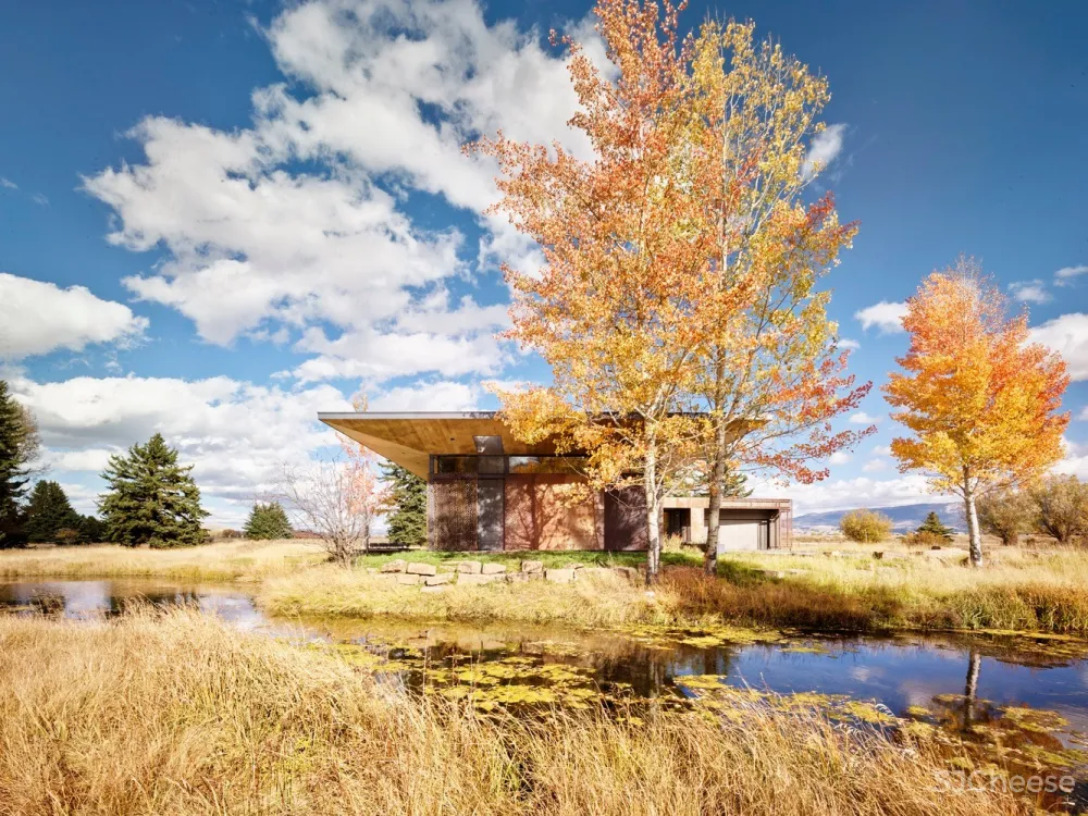 Queen’s Lane Pavilion / Carney Logan Burke Architects