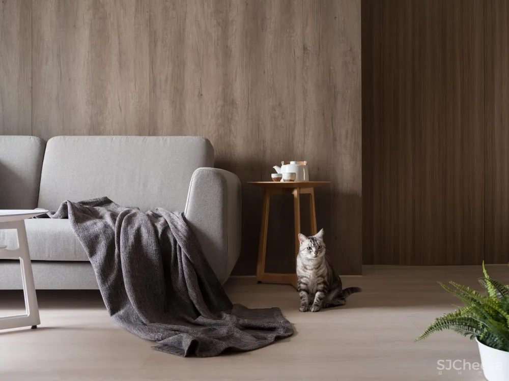 毛小孩玩耍的温馨小宅 灰色大门设计工作室