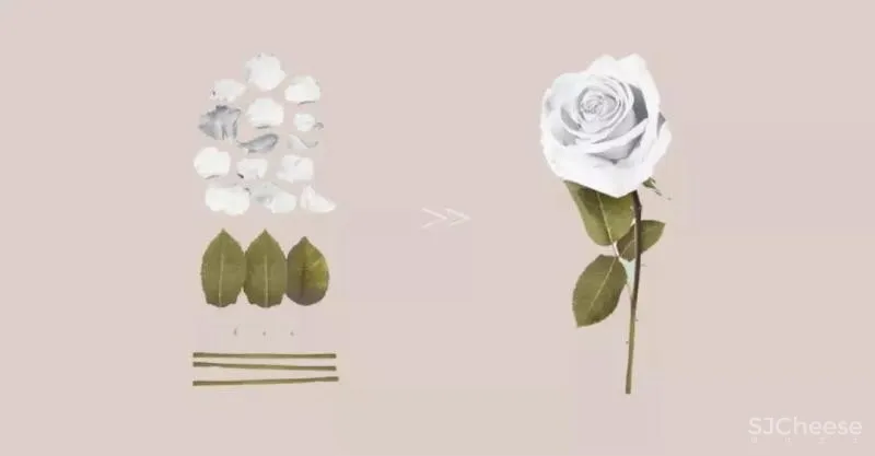 首发【IF.DESIGN 羽果设计】延续的梦境·追寻美好生活本源