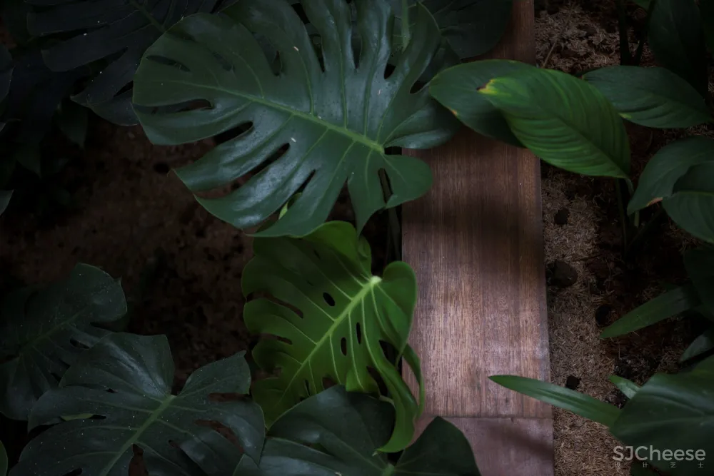 哈里曼住宅，内置庭院的纯白住宅／W Office