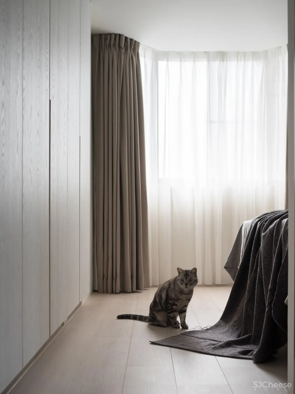 毛小孩玩耍的温馨小宅 灰色大门设计工作室