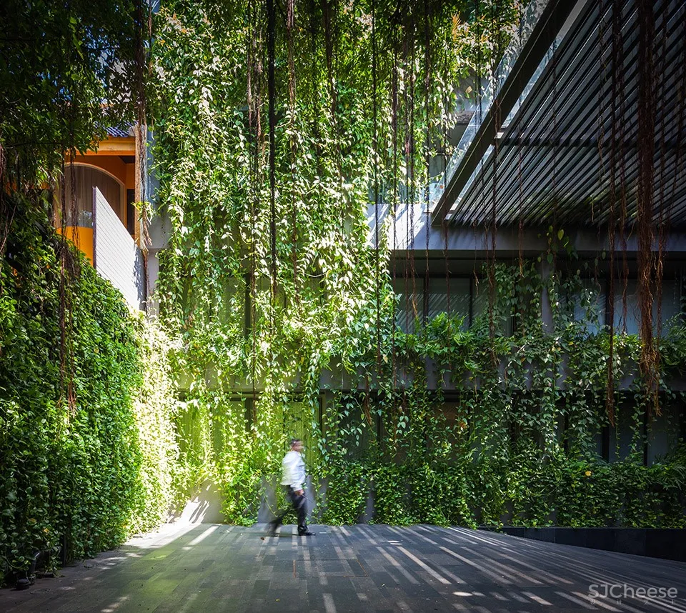 Ad Lib酒店庭院，曼谷 / T.R.O.P: terrains+open space