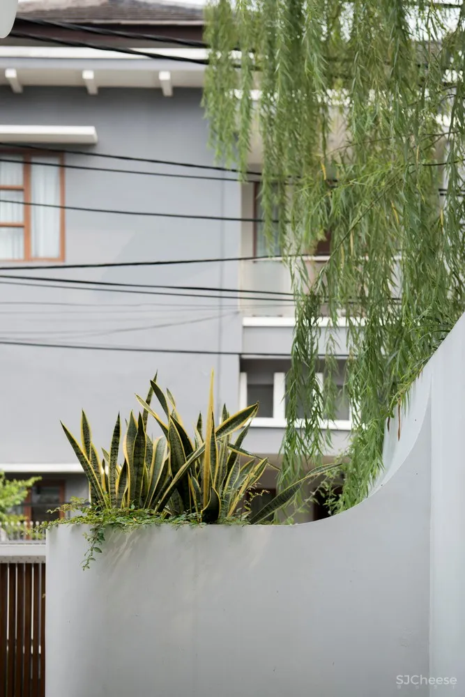 哈里曼住宅，内置庭院的纯白住宅／W Office