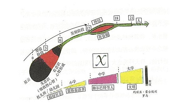 L&M 观点 | 儿童空间设计的灵魂——自由
