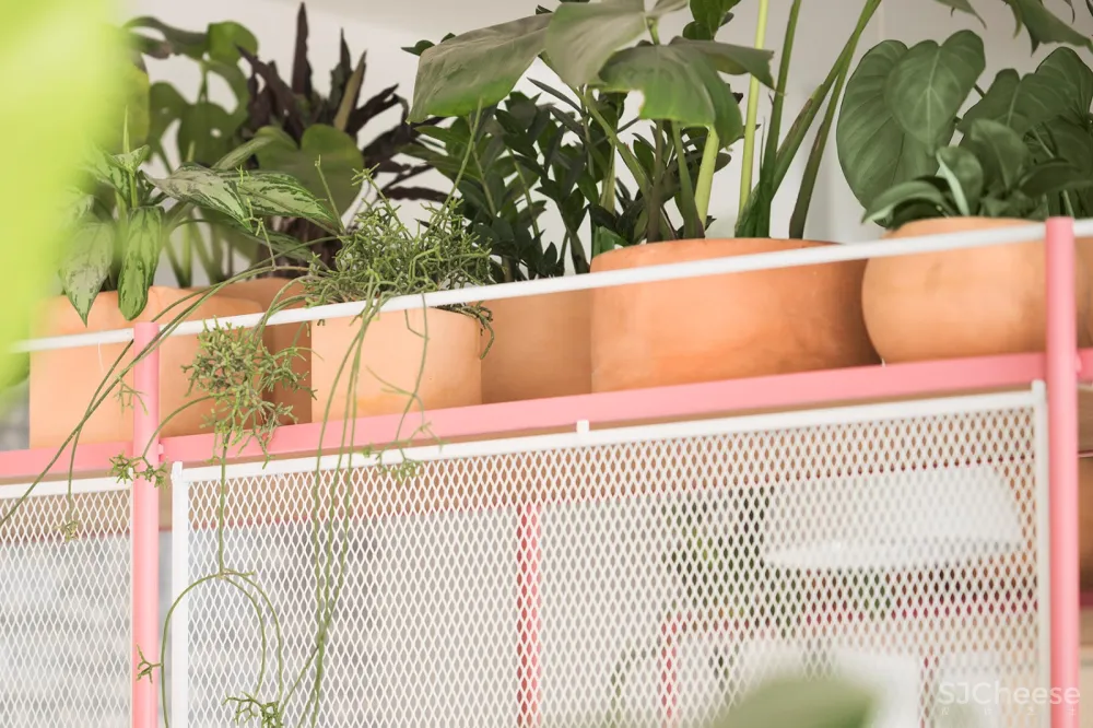 Blend Station咖啡馆品牌形象设计,墨西哥 / Futura