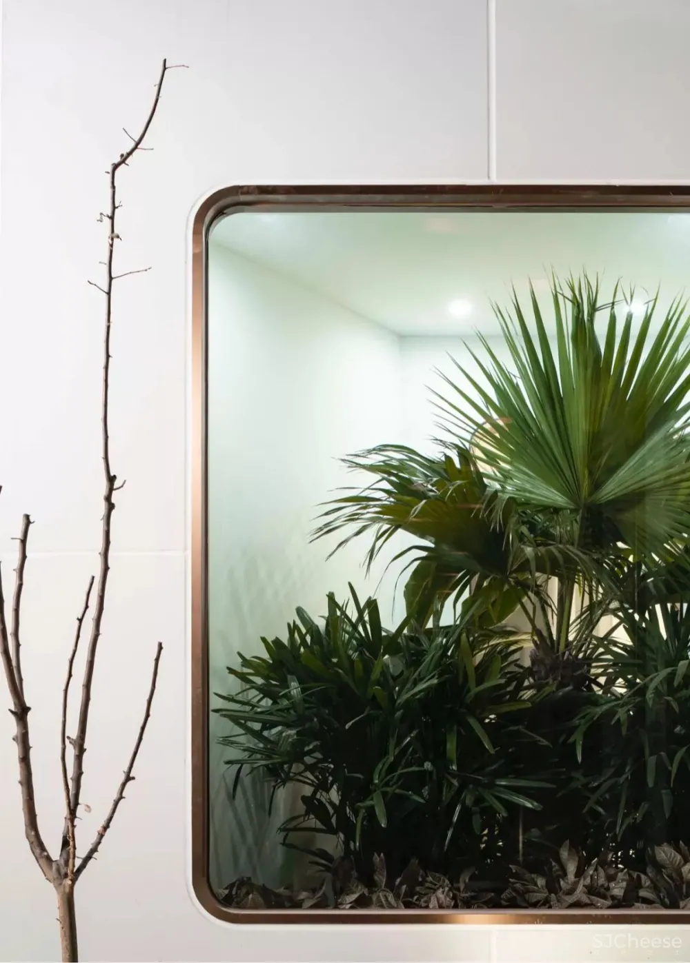 一场情绪与空间的对话,北京同仁堂粹和康养体验中心 AFFD设计事务所