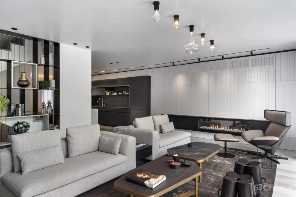 黑白灰品质感大宅 Aviram Kushmirski