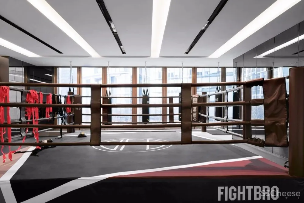 新作 | 复星集团 · BFC 外滩金融中心空中健身会所 · 连自成重磅新作