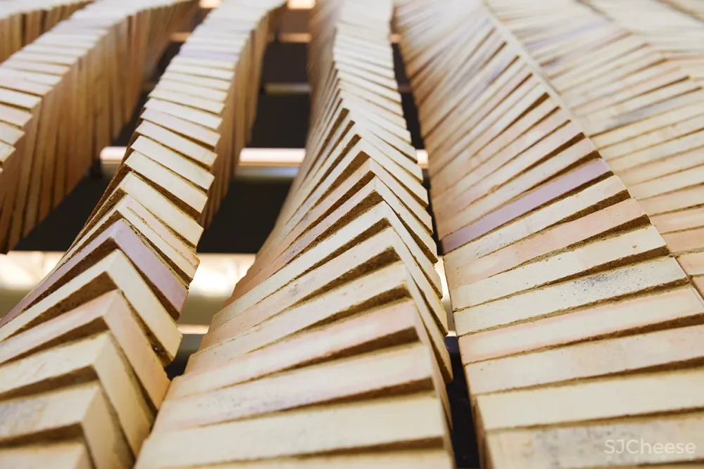 Lipton Thayer砌砖住宅,芝加哥 / Brooks + Scarpa + Studio Dwell