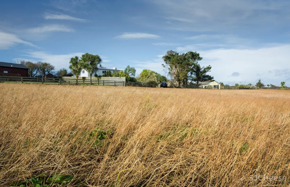 Riverchapel度假小屋扩建,爱尔兰 / Robert Bourke Architects