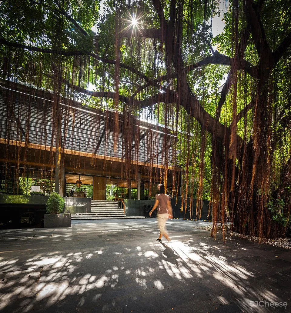 Ad Lib酒店庭院，曼谷 / T.R.O.P: terrains+open space