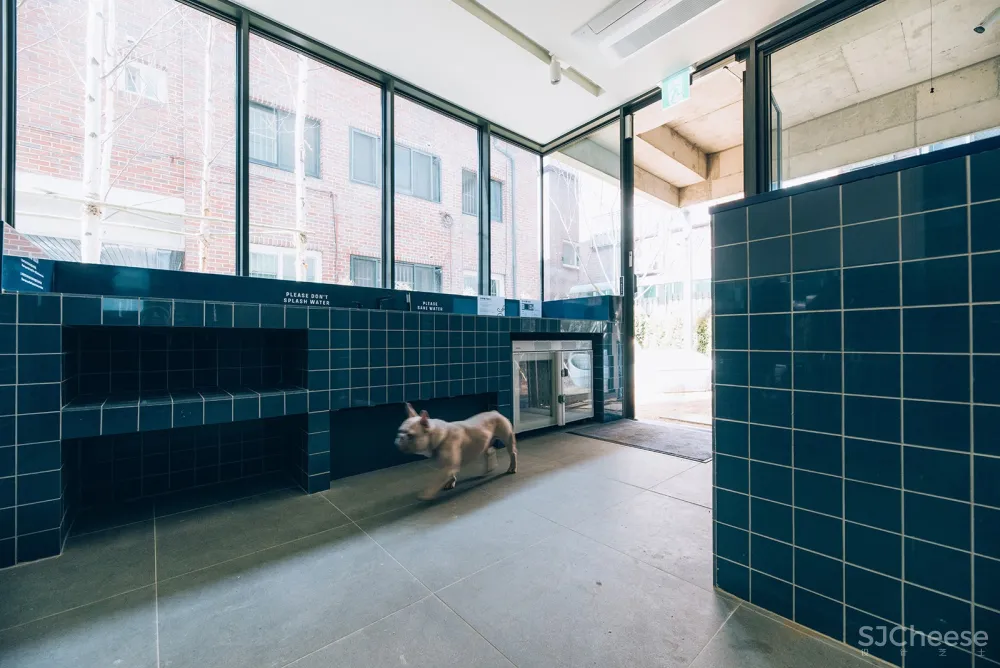 Treehouse青年共享公寓，首尔 / Bo-da Architecture