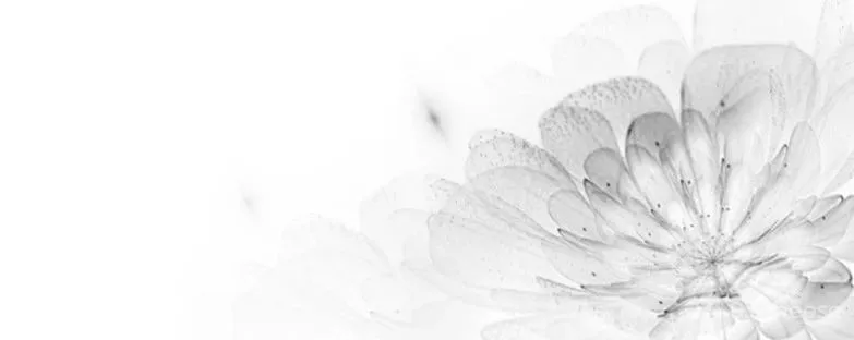 海边的诗意人生|一庭一风景,一院一世界