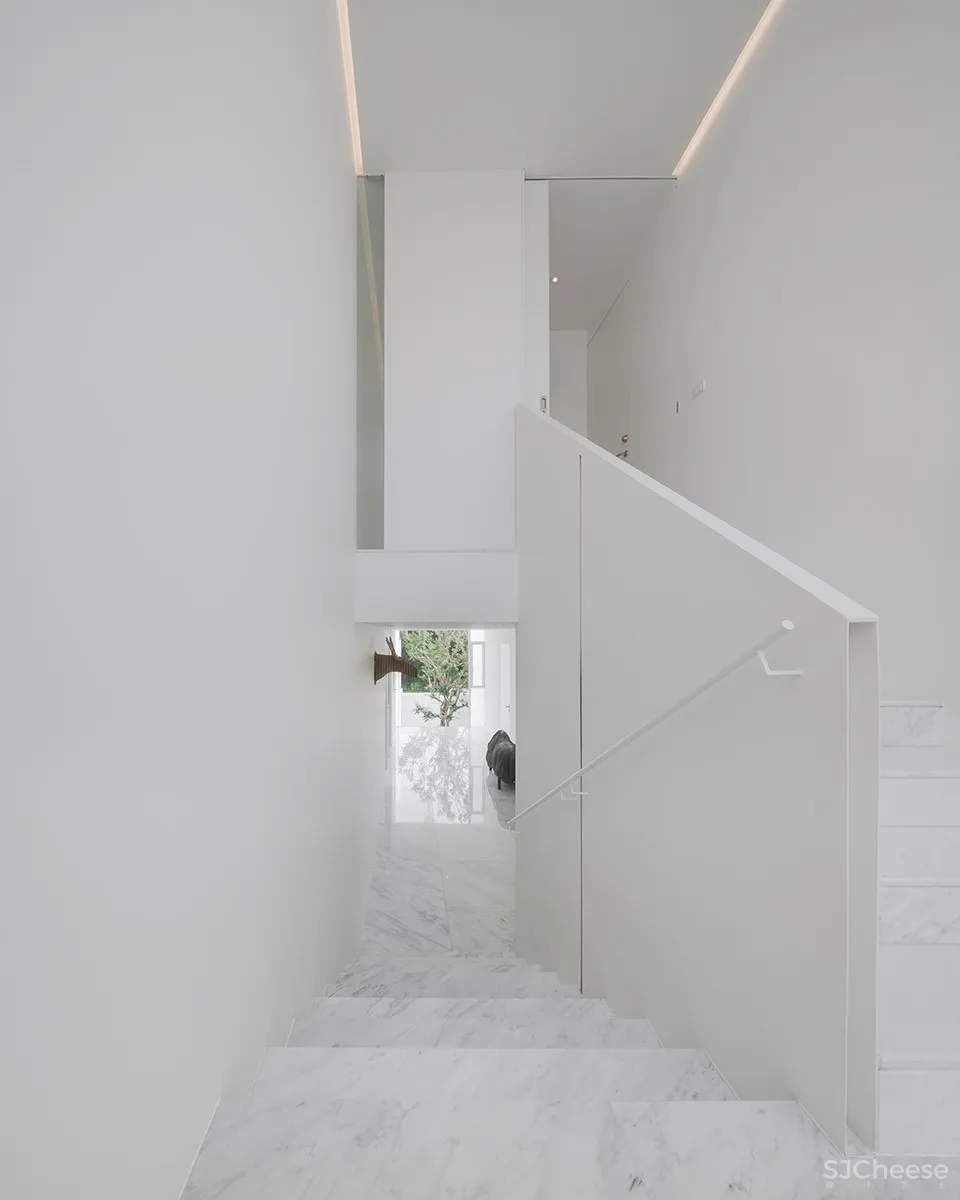 Rabbits住宅,泰国 / TROP : terrains + open space