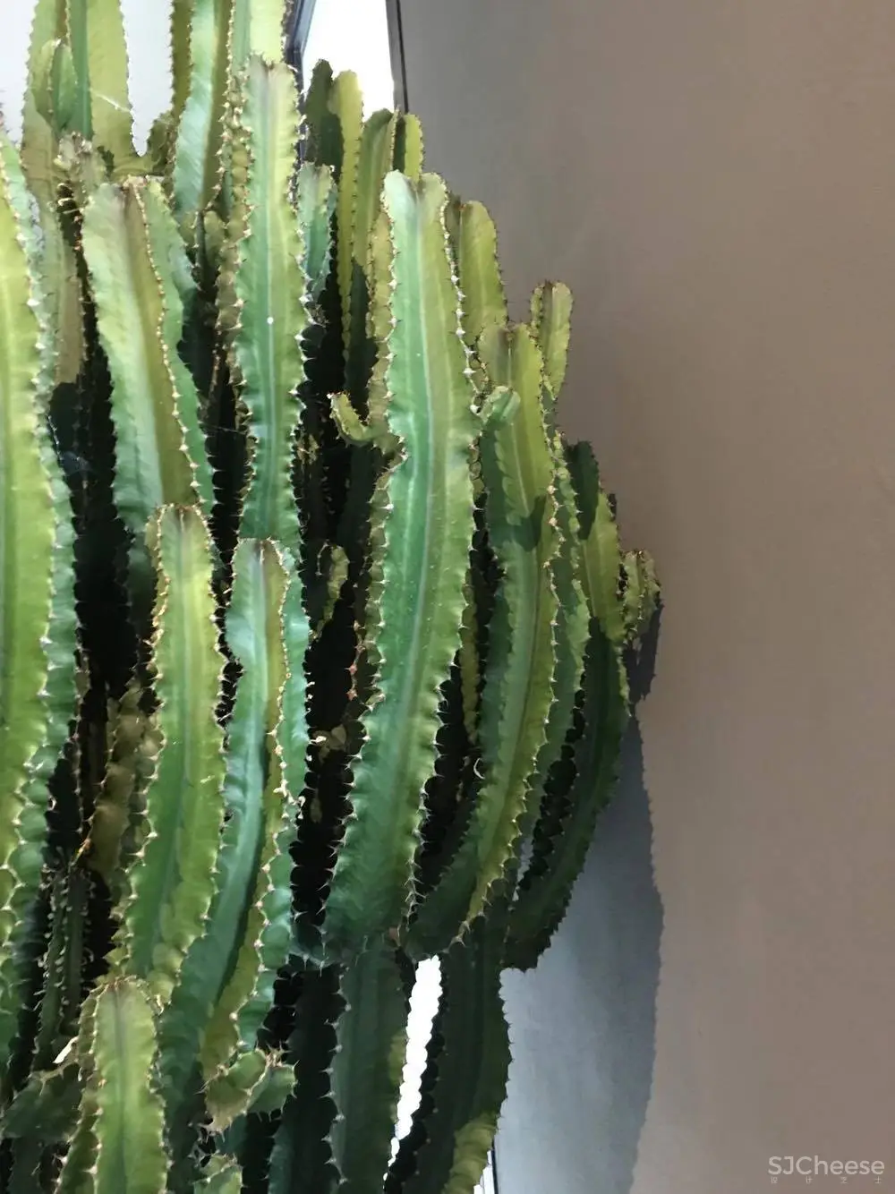 吃饭、喝酒还能听音乐,这家极简风花店难怪这么火! Storage Associati