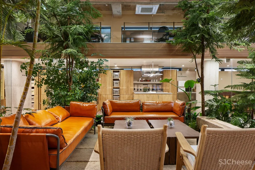 Treehouse青年共享公寓，首尔 / Bo-da Architecture