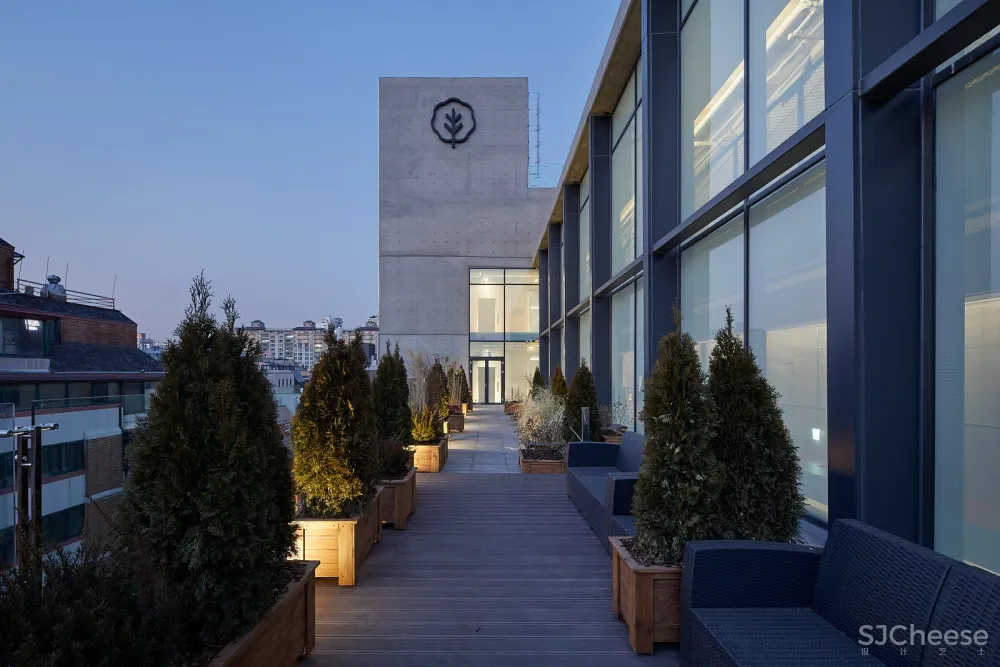 Treehouse青年共享公寓，首尔 / Bo-da Architecture