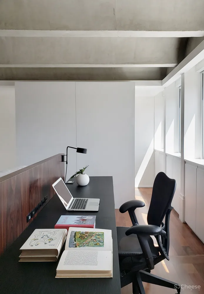 STUDIO LIM | 圣保罗20世纪野性主义公寓翻新