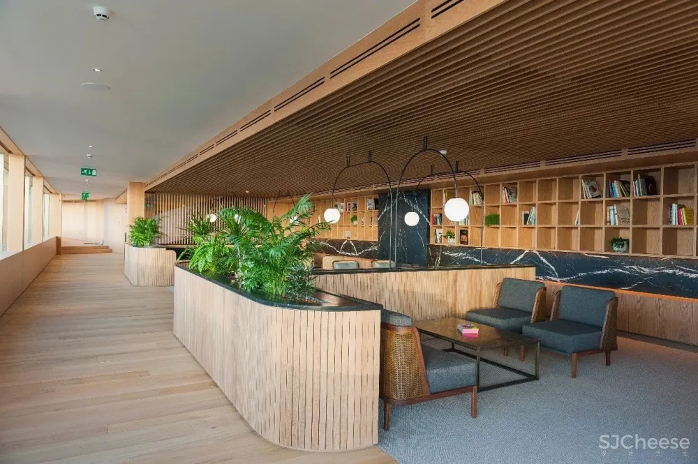 Mecanismo | 创新和谐的概念主义者