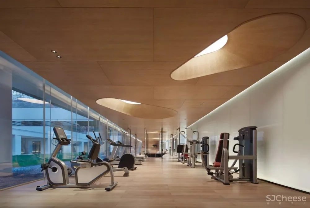 共生形态 | 极具戏剧的设计分寸