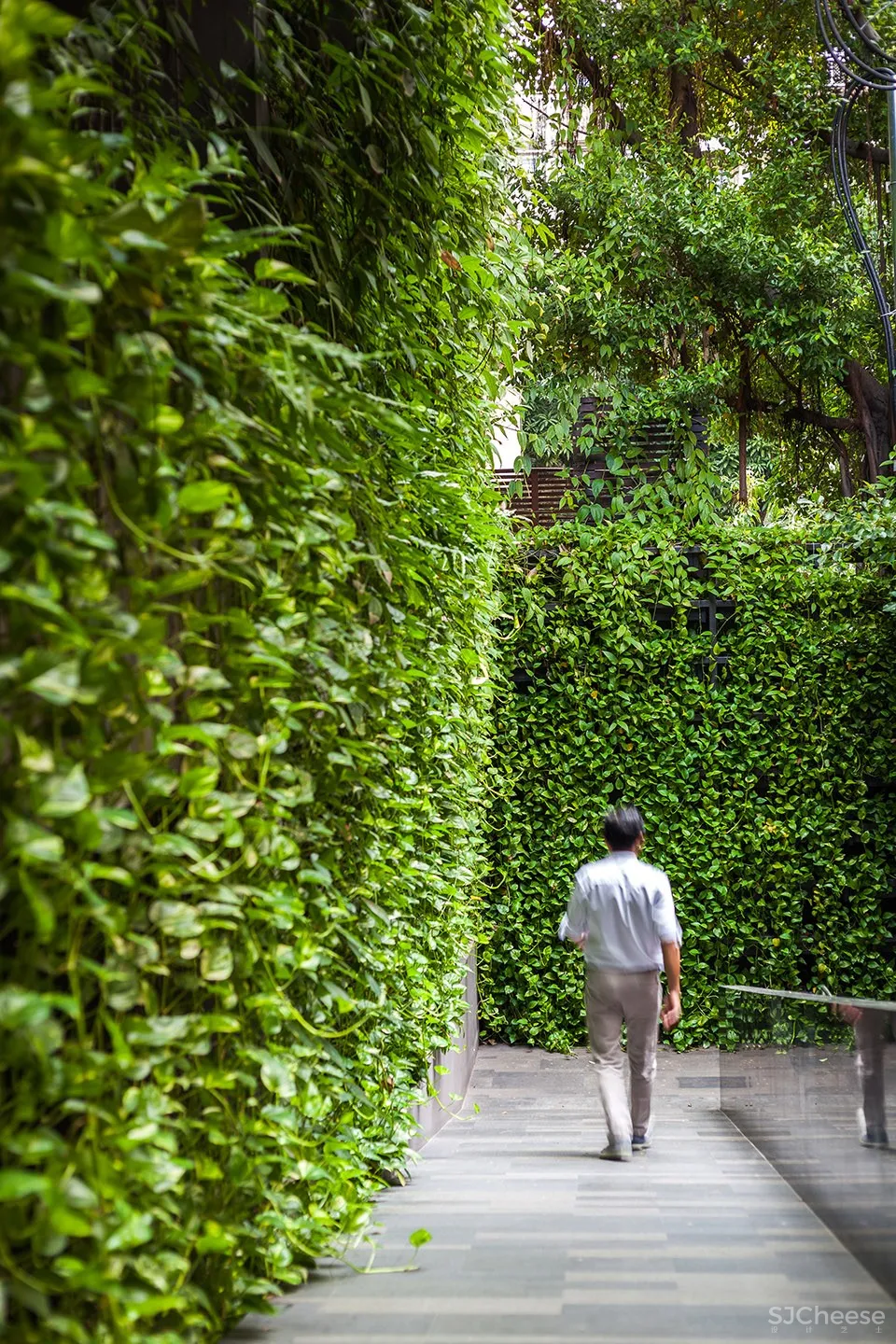 Ad Lib酒店庭院，曼谷 / T.R.O.P: terrains+open space