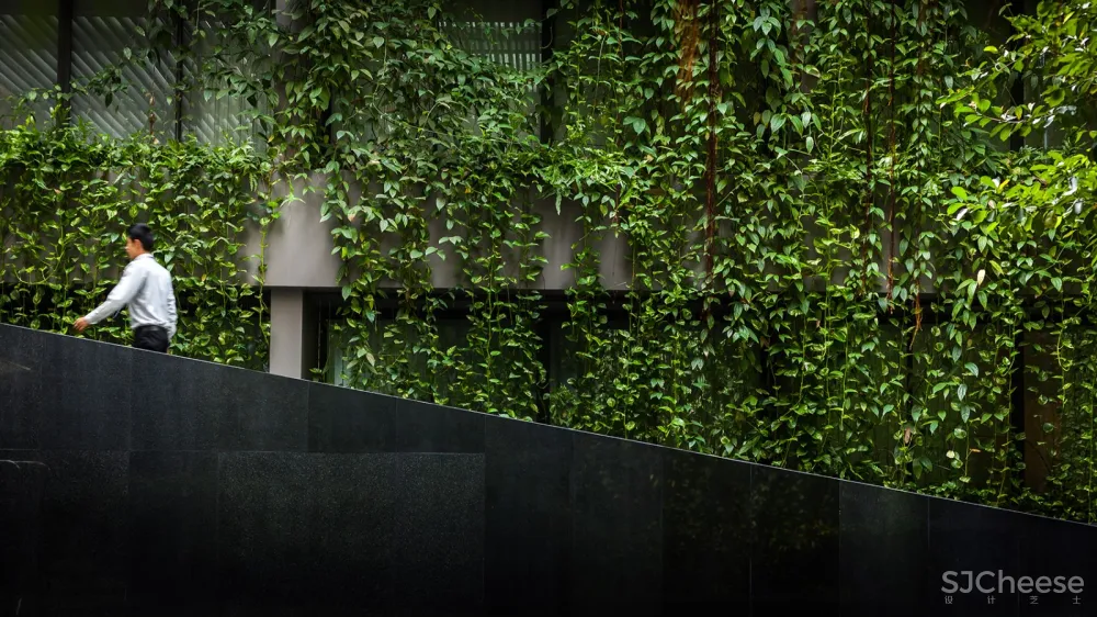 Ad Lib酒店庭院，曼谷 / T.R.O.P: terrains+open space