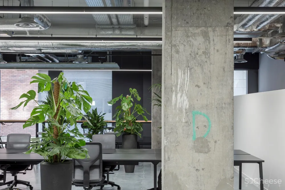 ODOS Architects:爱尔兰 Rothco公司新办公室