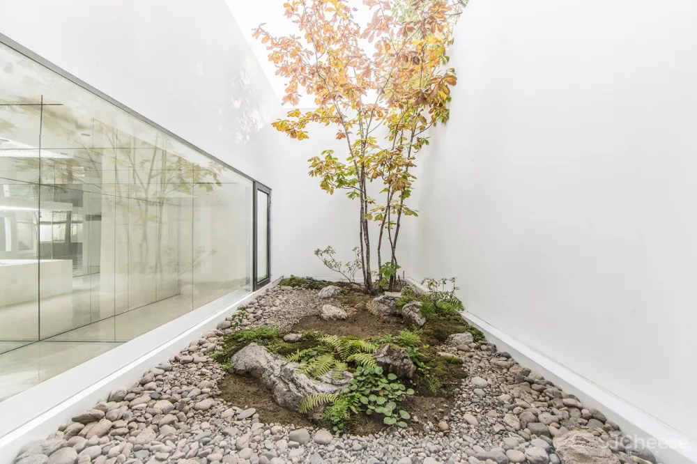 新作 | 建筑营设计工作室:北京 镜花园