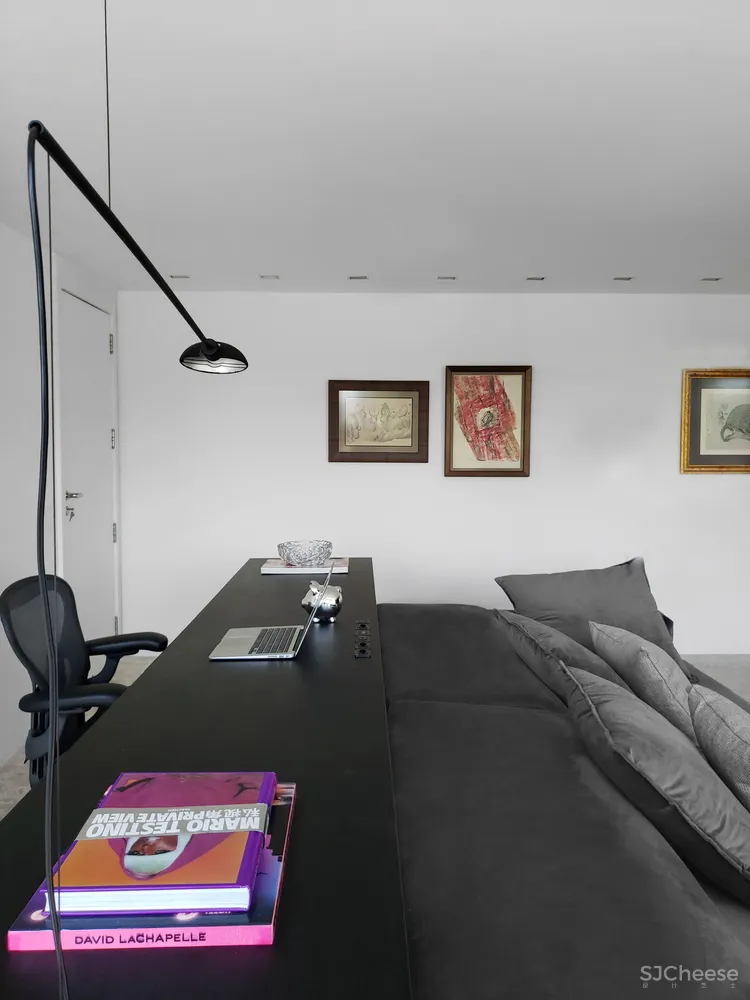 STUDIO LIM | 圣保罗20世纪野性主义公寓翻新