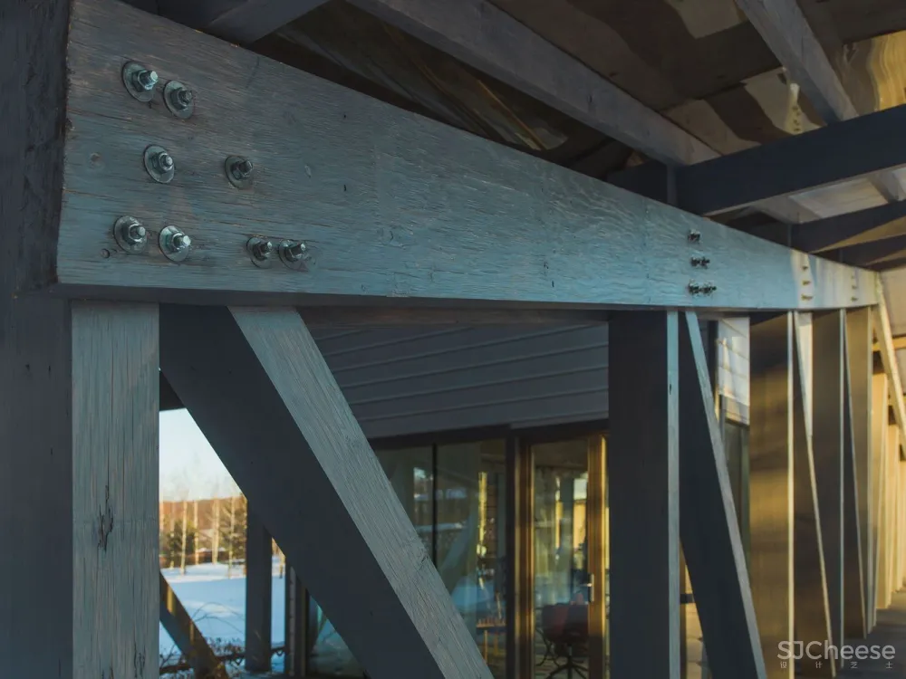 踏出舒适区,凌驾于自然之上的桥之宅 / BIO-architects