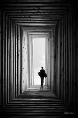 将轻奢与现代融为一体，中海望京府140样板间 SDD上达设计