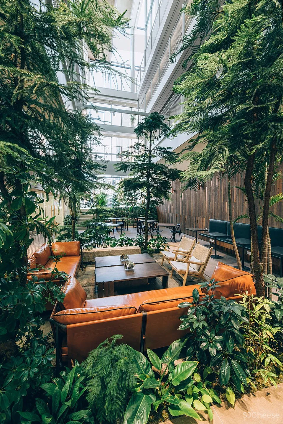 Treehouse青年共享公寓，首尔 / Bo-da Architecture