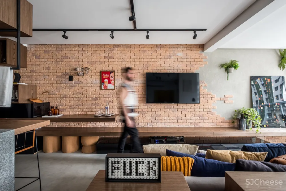 圣保罗一位年轻单身汉的49㎡现代风小公寓 Rafael Zalc