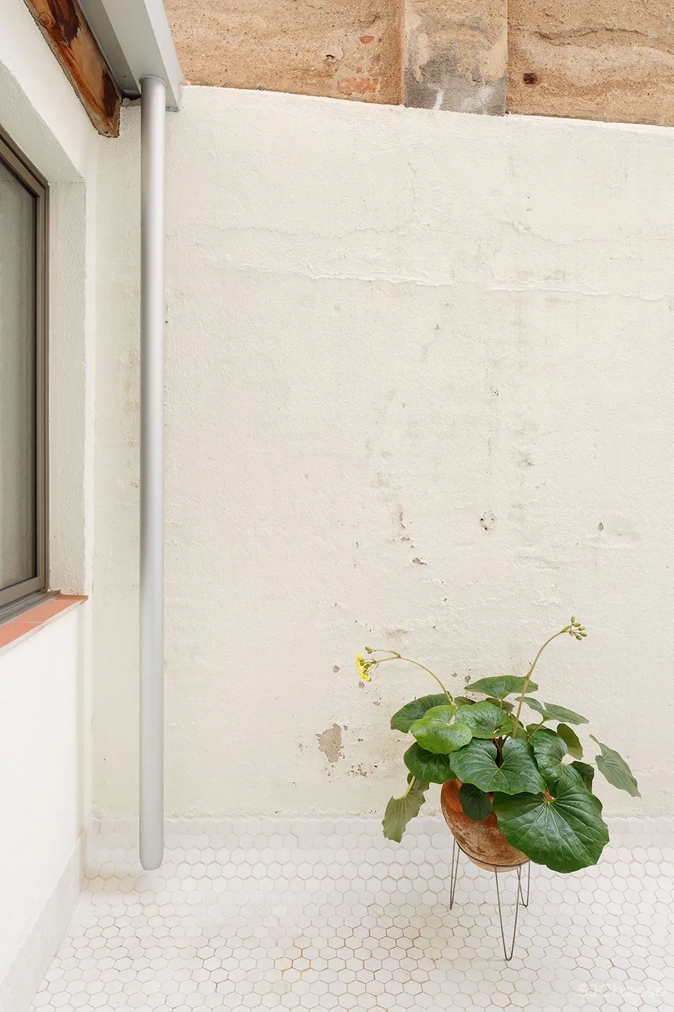 For Marcel – 住宅兼工作室空间,巴塞罗那 / MH.AP