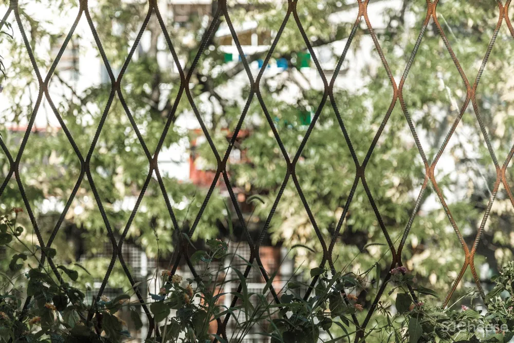 斯科特住宅 / BAAG