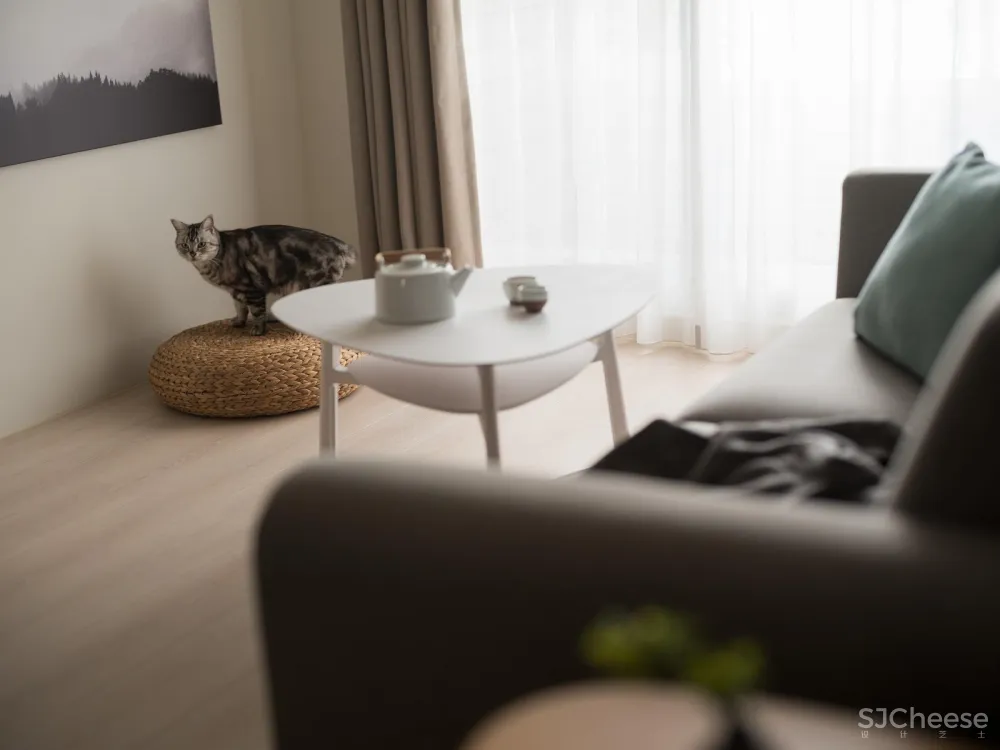 毛小孩玩耍的温馨小宅 灰色大门设计工作室