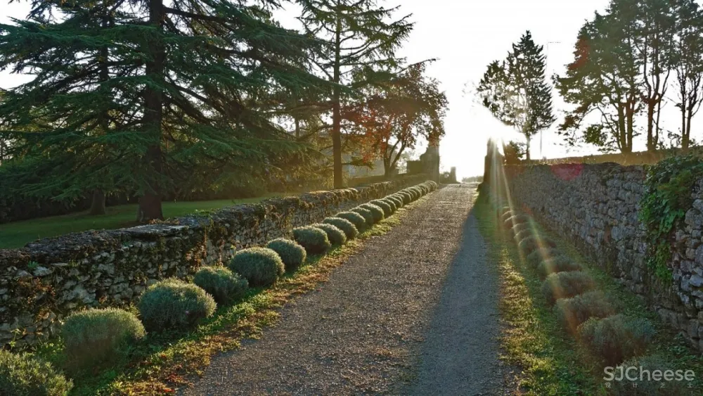 顶级设计丨总有独特的品味