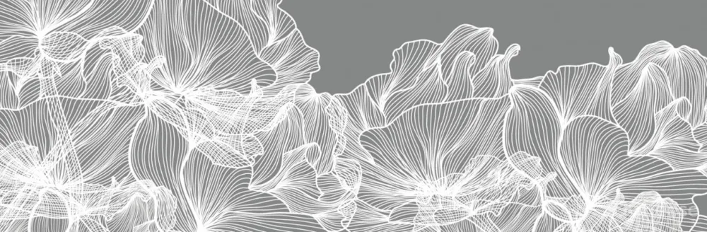 海边的诗意人生|一庭一风景,一院一世界