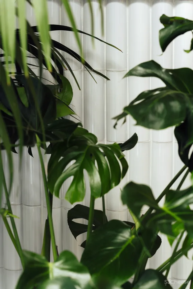 MESURA | 西班牙一间30平米休闲餐厅