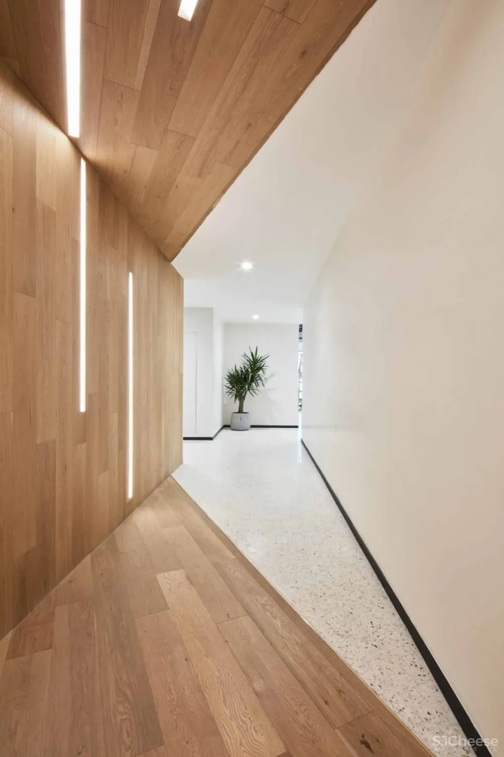 【BLG设计新作】OFFICE不止于办公…